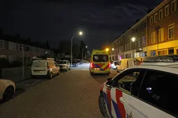 Foto 10