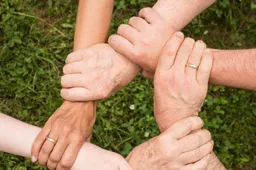 team-spirit-2447163_1280