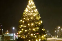 604776915_1319952076832675_7759536732791117078_n