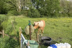 616795411_3792775464192400_7201049631095990801_n