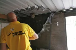 Afschermen van het wespennest van een Saksische wesp - © M-A te Riele