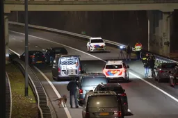 FPMB_SMALL_5435CC21-A61C-4C19-BD42-8A2FA801A09F