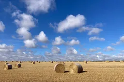 Jac Vermeer KUS 2024