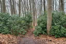 w.s. 2023-2024 foto reghte hei 2