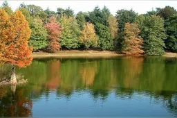 w.s. 2023 wolterbeek bossen