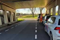 645210238_1376015564559659_1929203560216962993_n