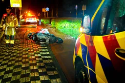 FPMB_SMALL_588FB79B-115C-405B-9349-41C4D3838E57