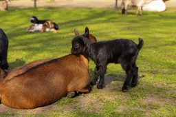 671107178_1458582776069109_8634384245651356200_n