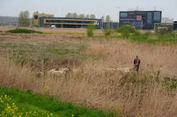 FPMB_SMALL_4A0E056E-E88C-492A-8CA6-1BB5010A5807