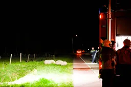 FPMB_SMALL_71C14AA6-BE57-48C3-92BA-8B24BF847FCB