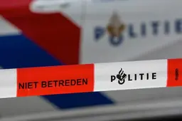 politielint