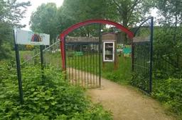 IMG_20260512_183736004