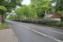 csm_rhodondendrons_1e6833695e