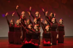 Foto Demo Team Teens 2026 DYD