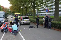 Foto 15