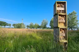 biodiversiteitjpg