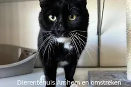 kruimel 0579 6823239c9d8c7jpg