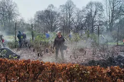 bladverwerking december 2023