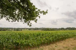 De-Eng-vacature-TAWE-1-1536x498