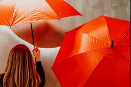 17decemberFairSquare(1) liggend