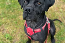 Bailey-202520838-1-1