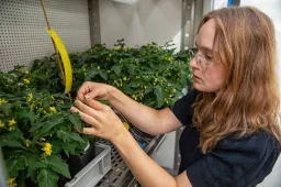 Nieuwe master Radboud Unv