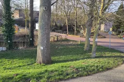 Grebbedijk Partij voor de Dieren Wageningen 2_161437