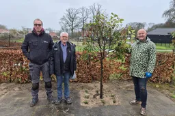 Zideris vrijwilligers plaatsen leilindes