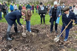 Planten vredesboom Arboretum gem. wageningen
