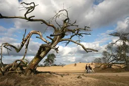 FietsenHoge veluwe_Robbert_Maas_015