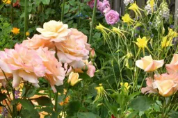 Thea_Peters_1_-Groei en Bloei Tuinenweekend