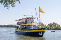 Blauwe Bever nieuw