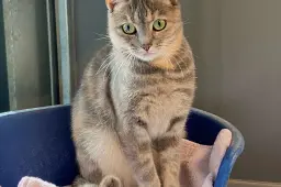 Lily-0865-nieuw