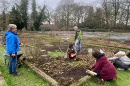 Moestuin odensehuis wageningen80