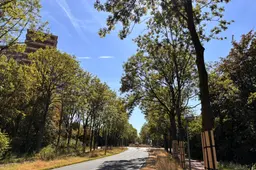 Werkzaamheden Lawickse Allee(1)