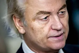 wilders trekt omstreden wetsvoorstellen voorlopig in1704707347