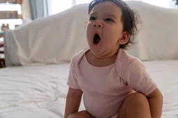 shutterstock 2487538657