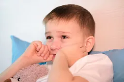 shutterstock 2462043103