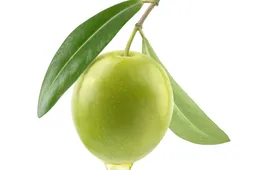 shutterstock 2527976375