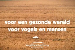 schermafbeelding 2025 04 28 om 074246