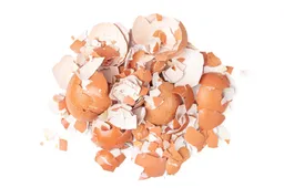 shutterstock 2573687191