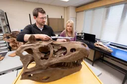 low res 250529 dinosaur paleontology tyrannosaurus 008a