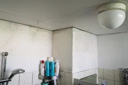 anp 506379206