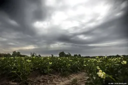 anp010725256 1