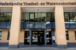 anp310725156 1