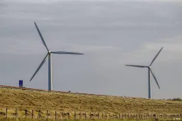 anp220825107 1