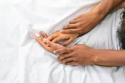 shutterstock_2447537873