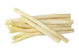 shutterstock_2592444413