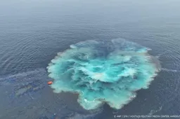 anp120925180 1