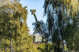 anp280925068 1
